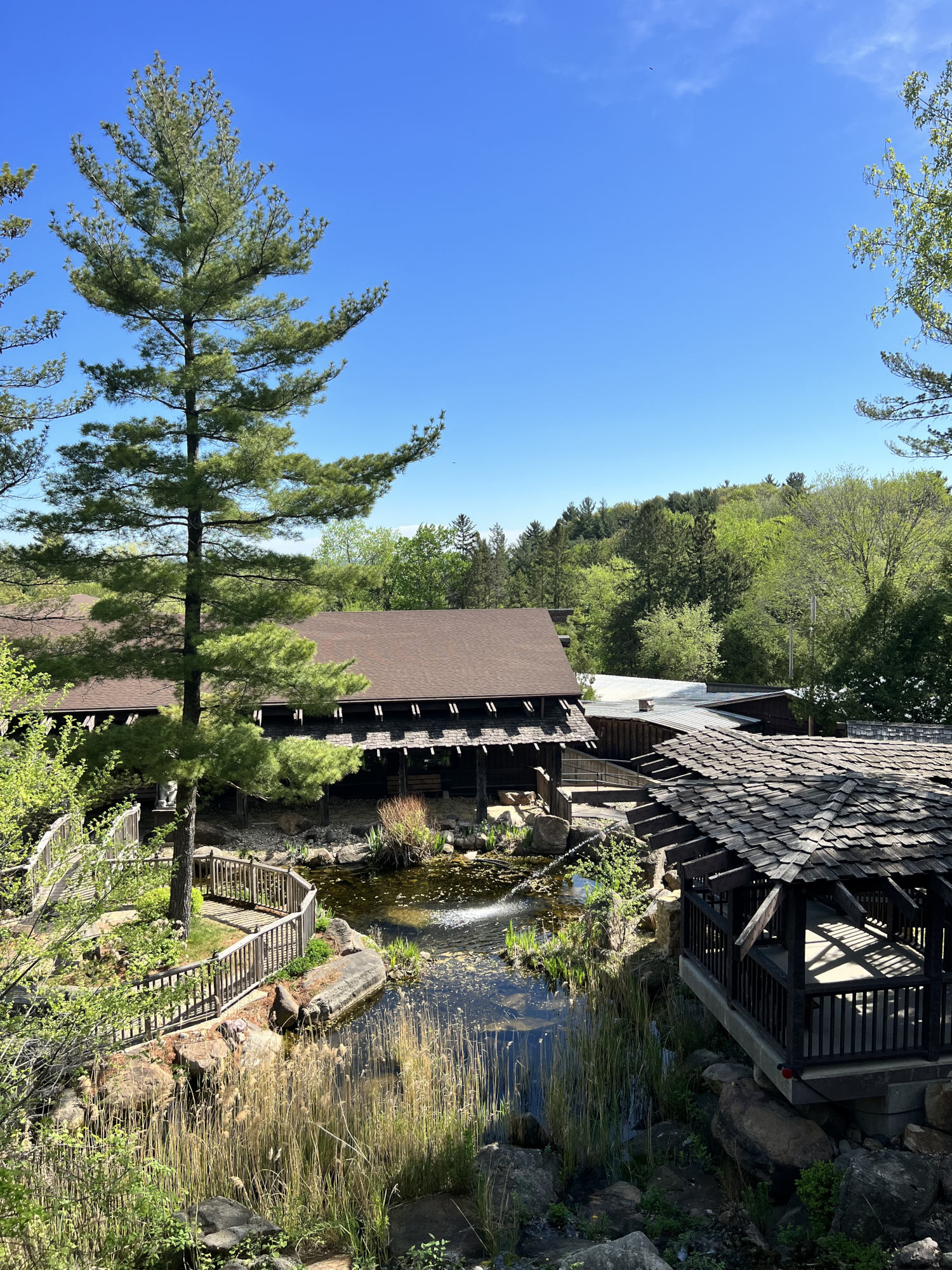 rejs Dom na skale mississippi