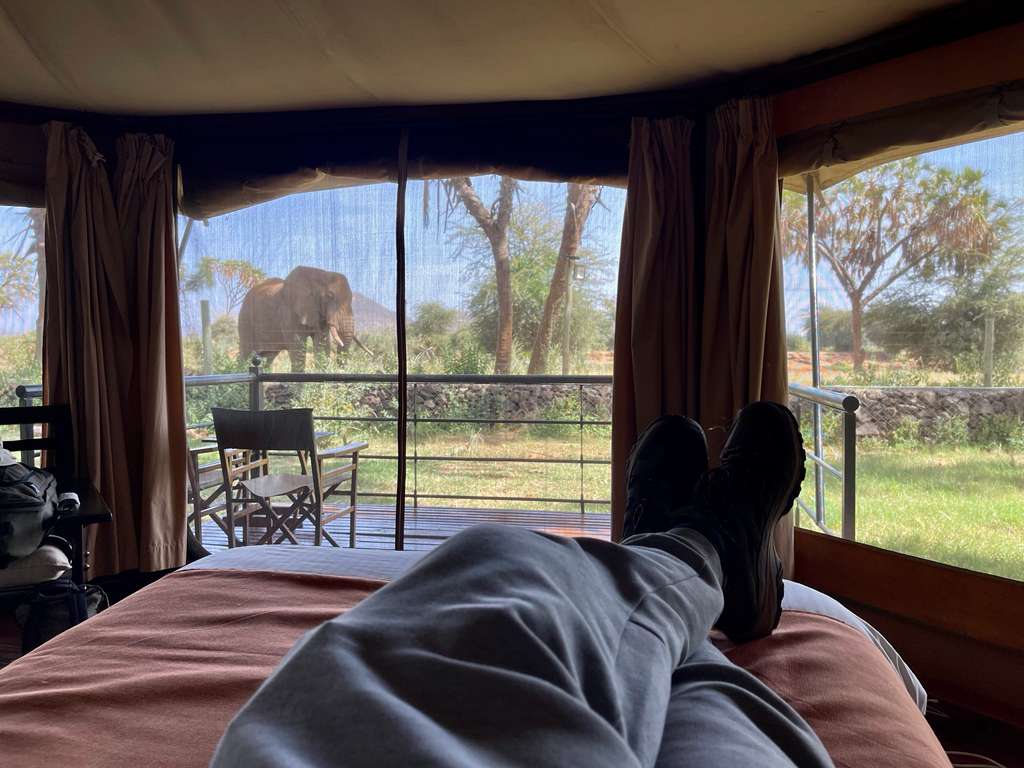 Kenia VIII Kenia – Dzika Afryka: Safari w Masai Mara, Samburu i Nakuru - 8 dni