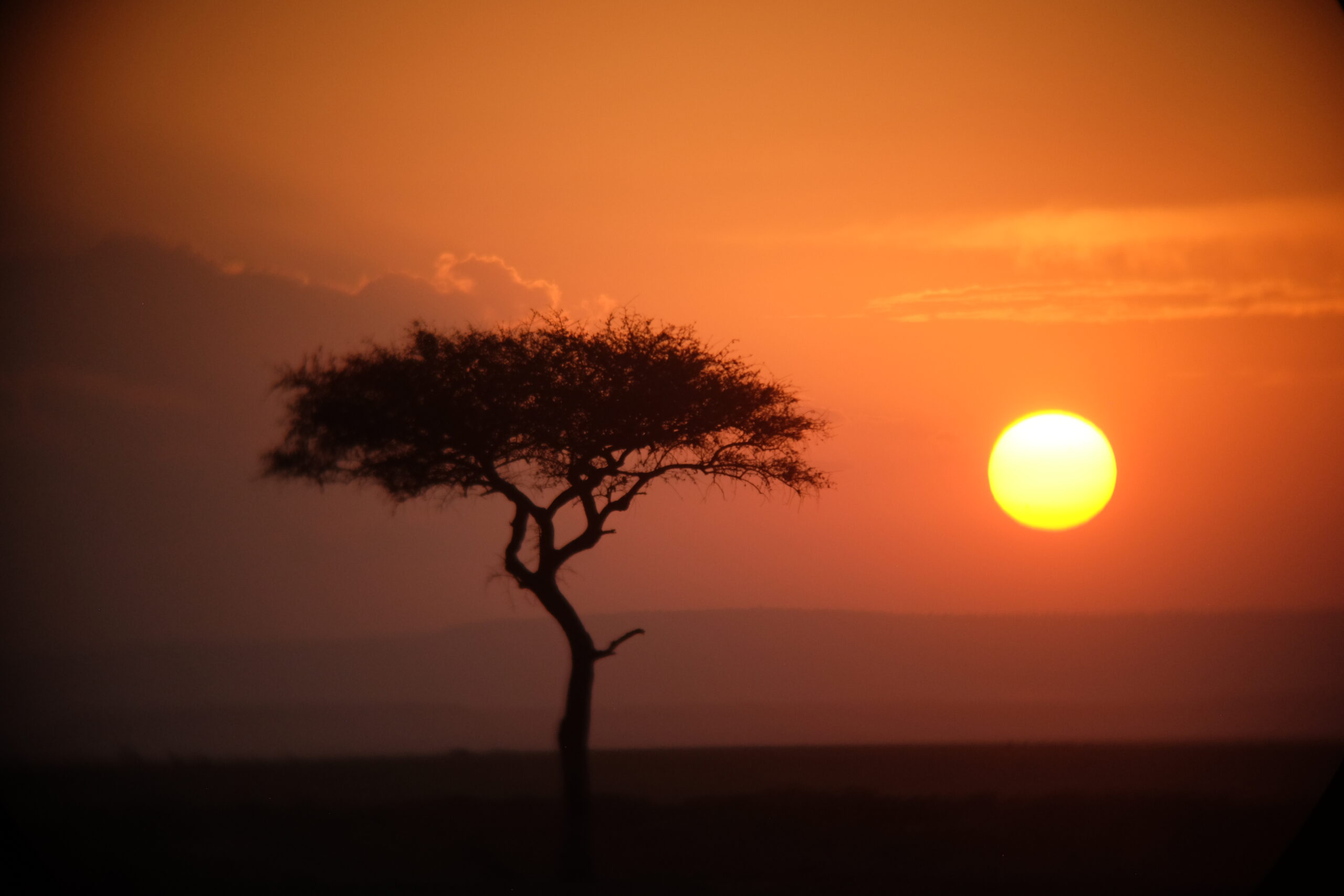 Kenya XXV Kenia – Dzika Afryka: Safari w Masai Mara, Samburu i Nakuru - 8 dni