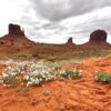 Monument_Valley Boska Wyżyna Kolorado. Piękno Natury w Perfekcyjnej Formie