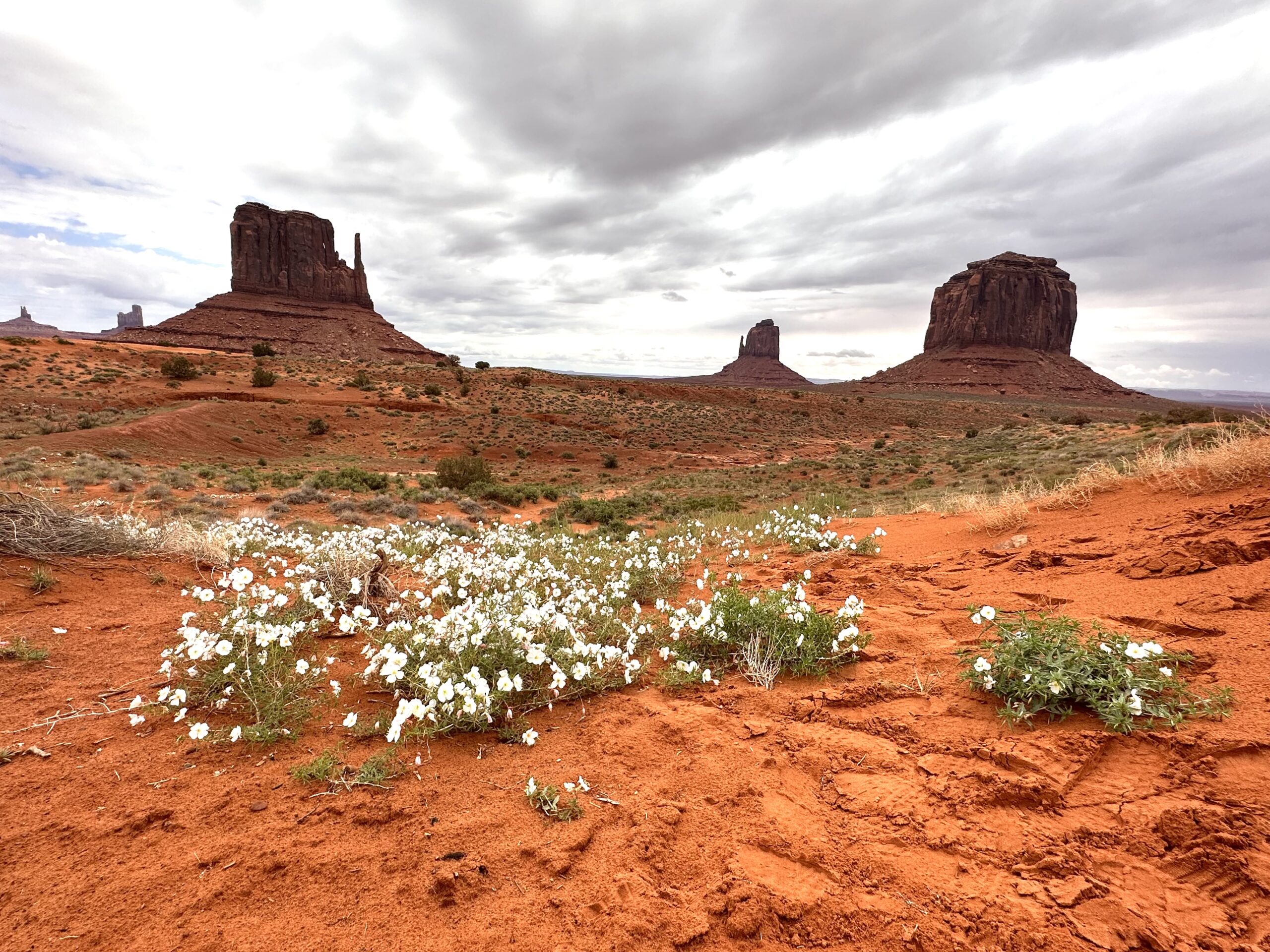 Monument_Valley Boska Wyżyna Kolorado. Piękno Natury w Perfekcyjnej Formie