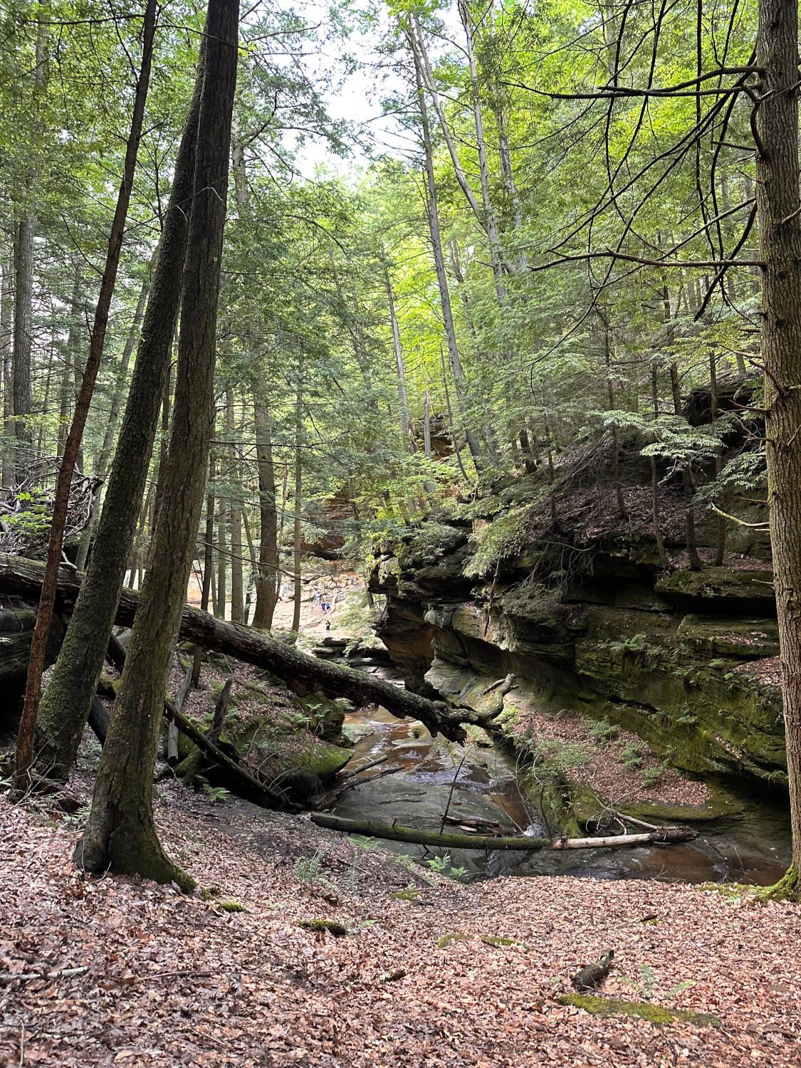 Weekendowy Wypad do Ohio - 2 dni