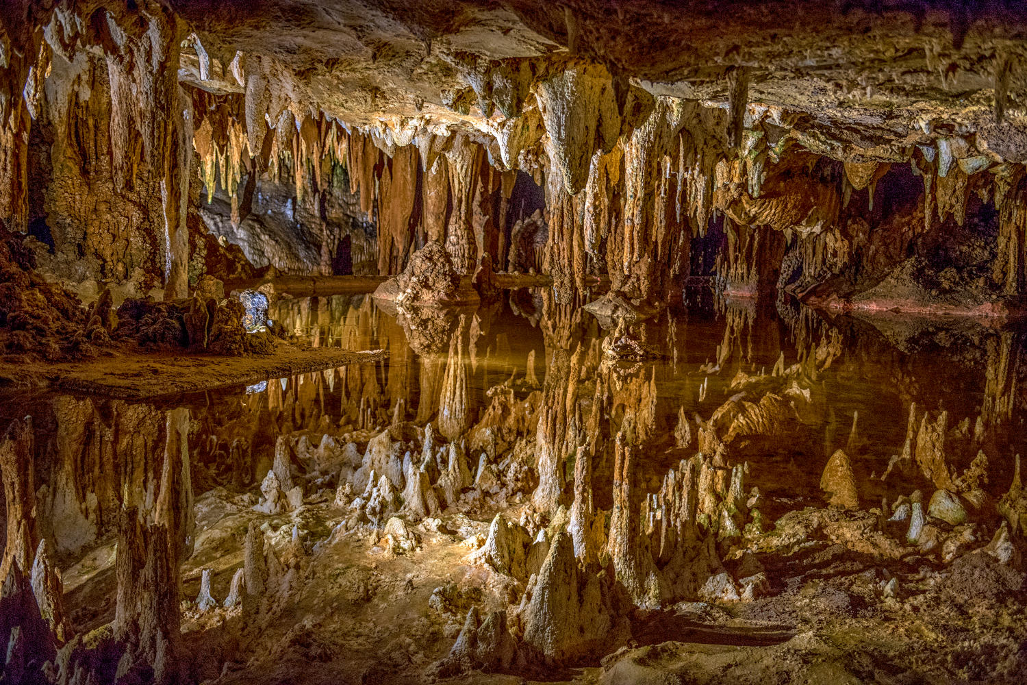 Nashville, czyli Wycieczka w Takt Muzyki Country - 3 dni