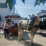 Amisze i Fabryka Czekolady - 1 dzień