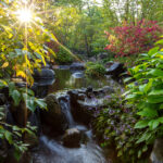 Rockford i Okolice – Ogrody, Historia i Smaki Regionu - 1 dzień