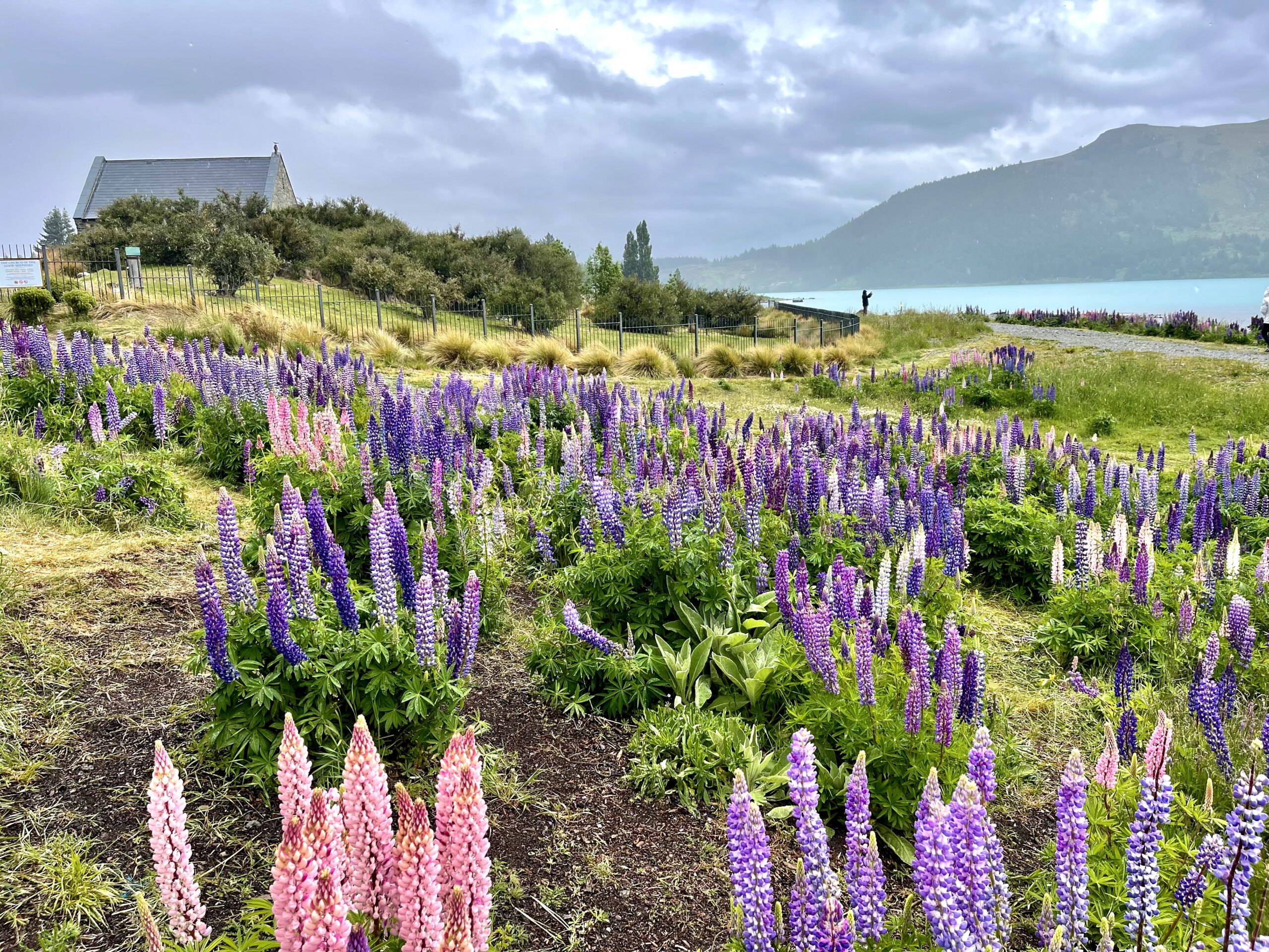 Nowa Zelandia – Wyprawa dla Aktywnych z Eli Trips