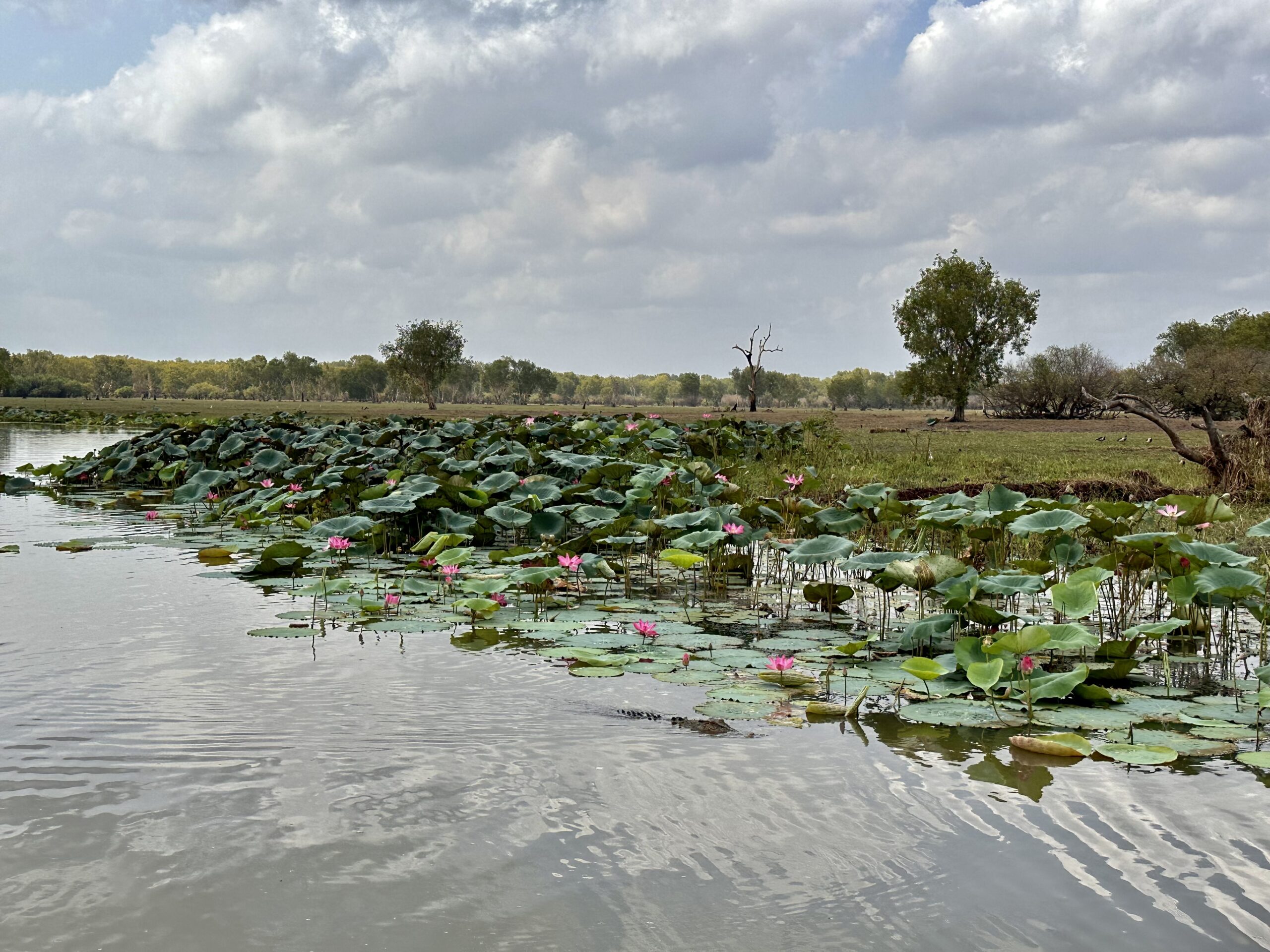 Australia Sydney Uluru Kakadu Rafa Koralowa Eli Trips