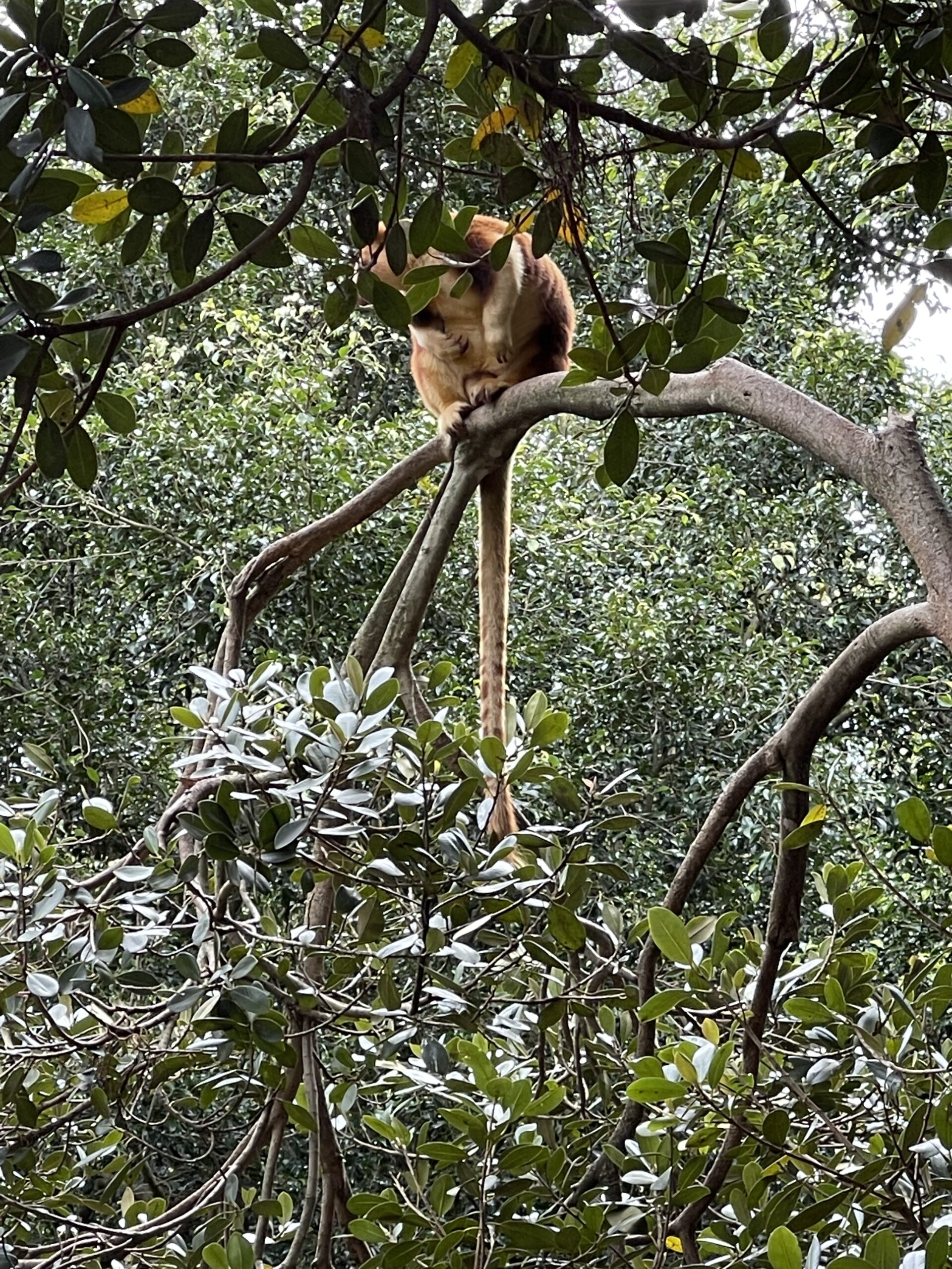 Australia Sydney Uluru Kakadu Rafa Koralowa Eli Trips