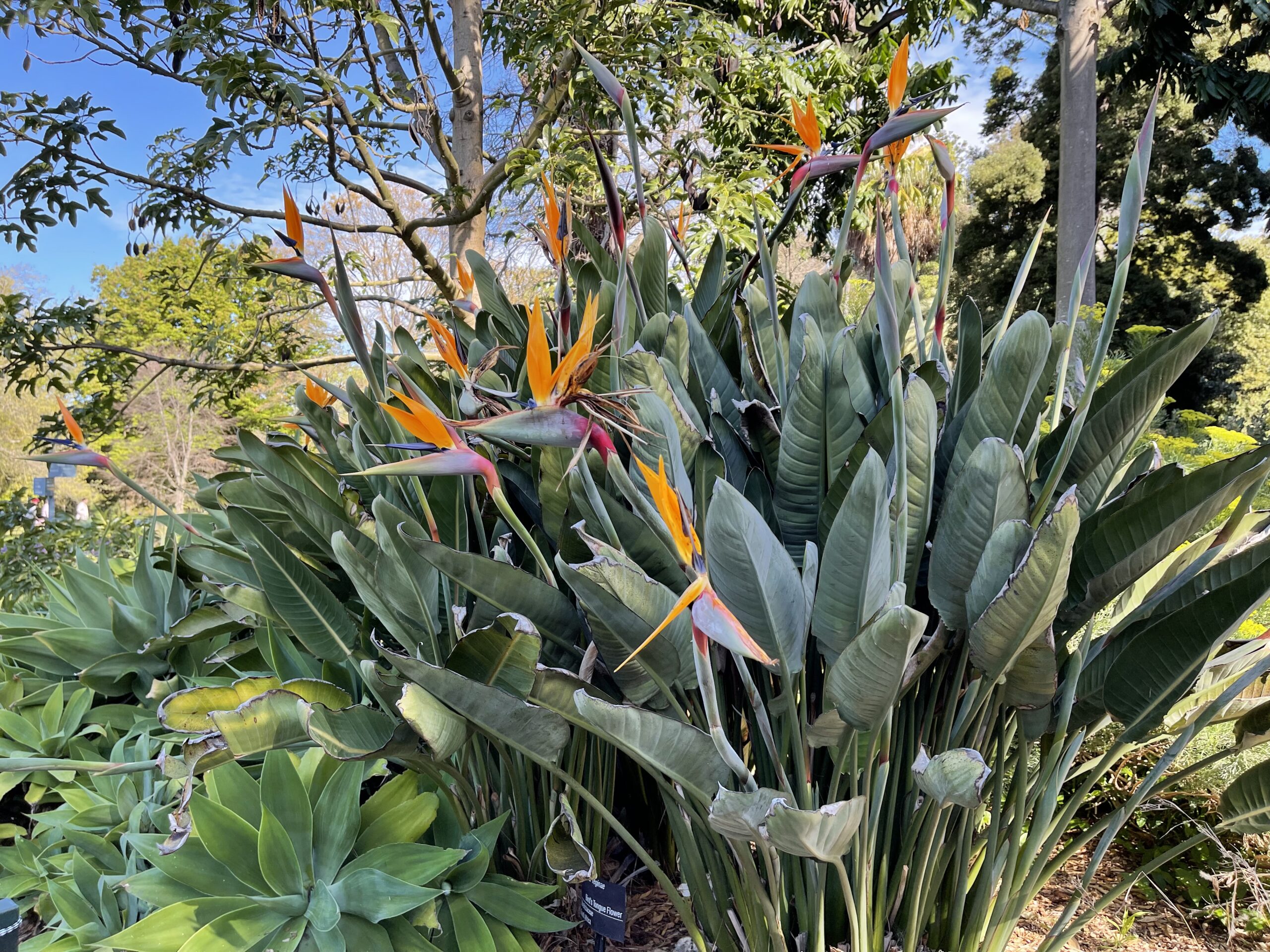 Australia Sydney Uluru Kakadu Rafa Koralowa Eli Trips