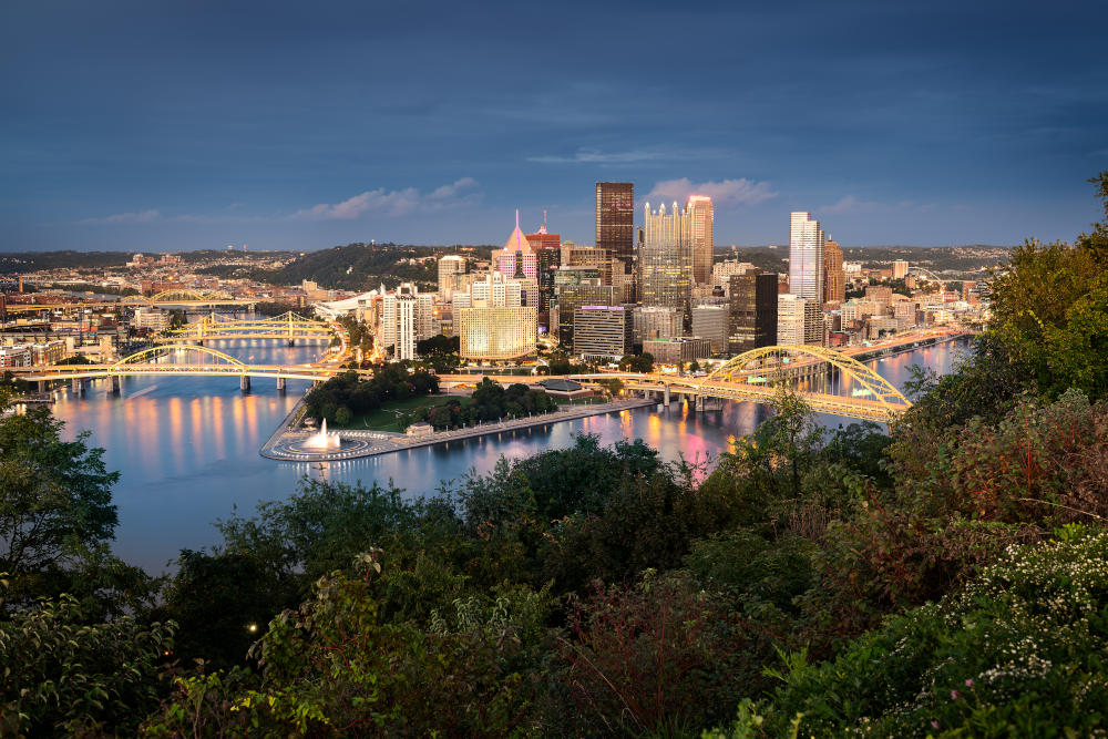 Safari, Skarby Pittsburgha i Skrzydła Ameryki