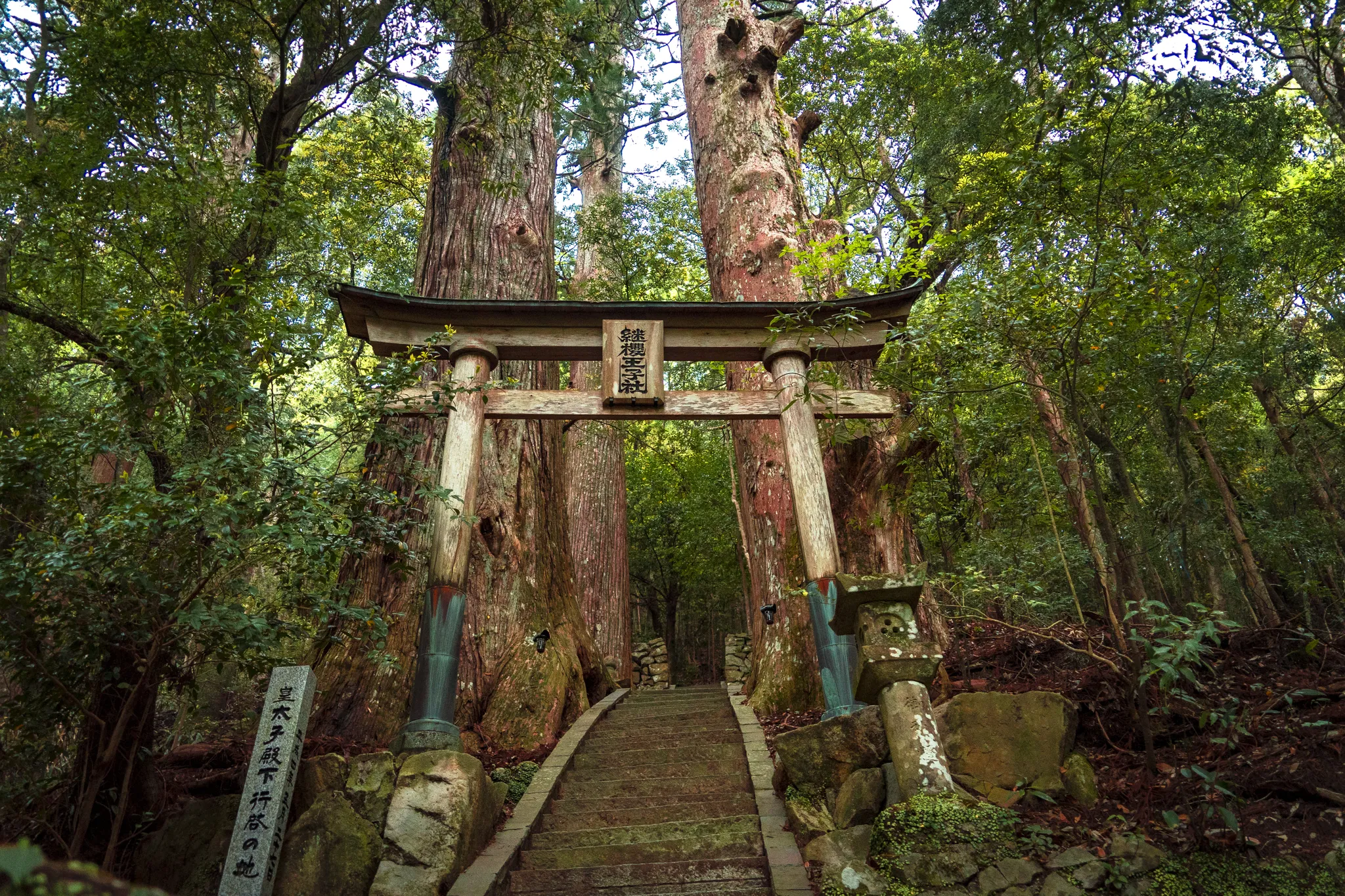 Japoński szlak pielgrzymkowy Kumań Kodo