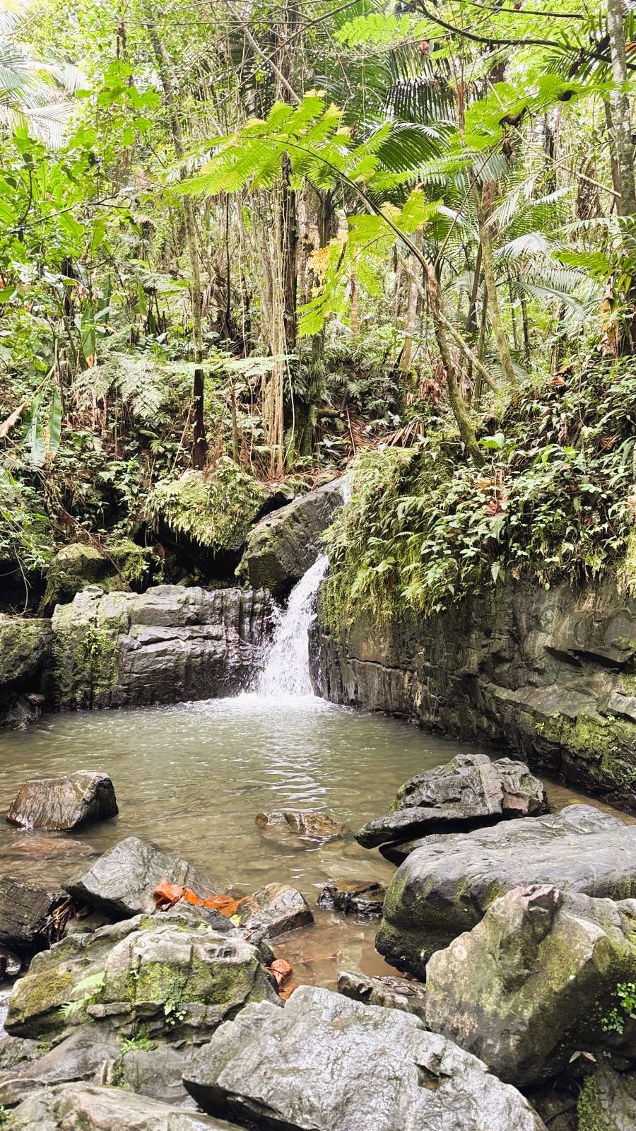 Puerto Rico III