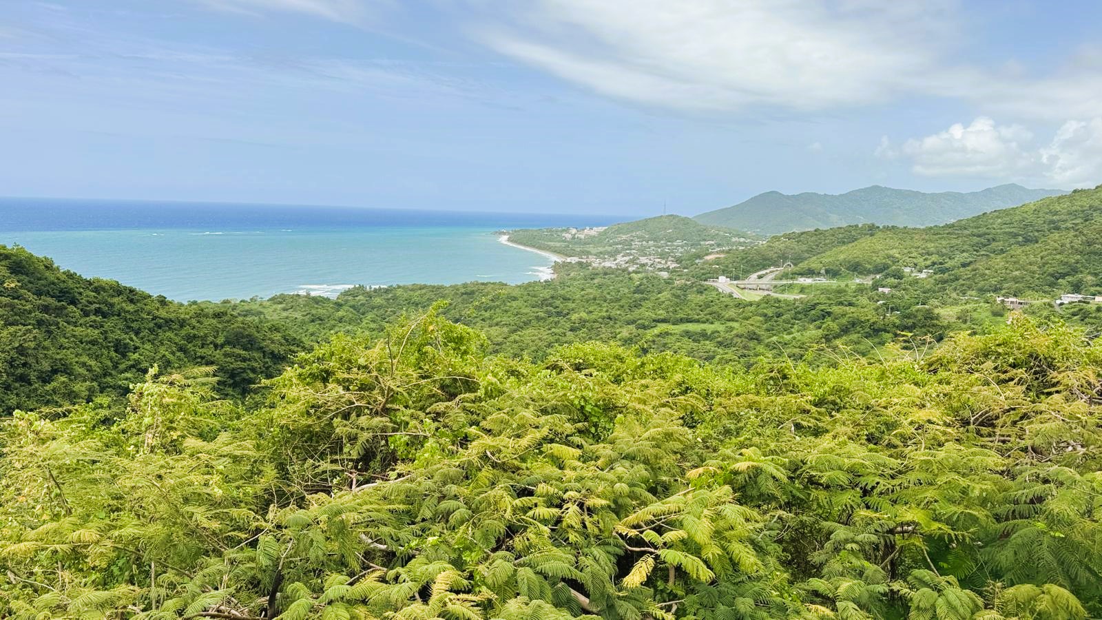 Puerto Rico V
